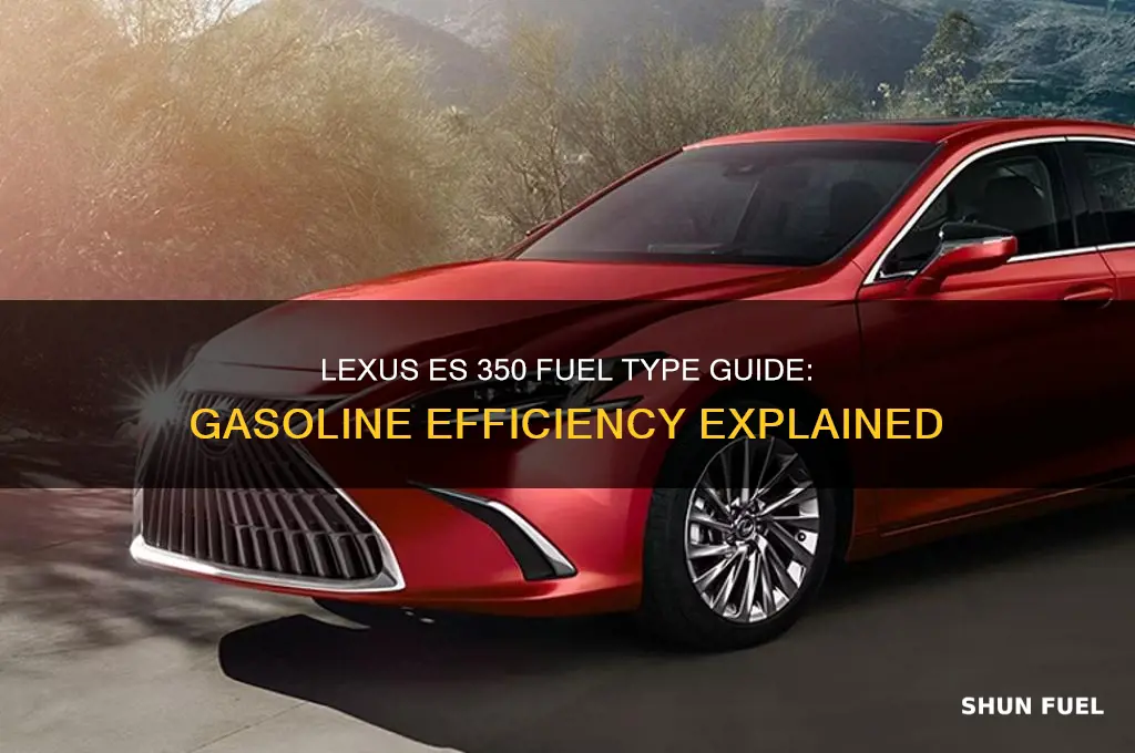 es 350 fuel type