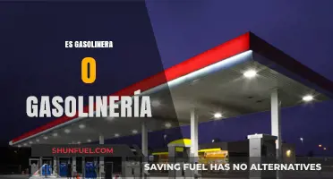 Exploring the Nuances: Gasolinera vs. Gasolinería in Spanish