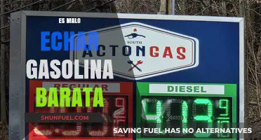 The Hidden Costs of Cheap Gasoline: A Critical Analysis