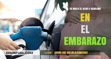 Is Gasoline Fumes Harmful During Pregnancy? Expert Insights