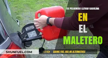 Es Peligroso Llevar Gasolina en el Maletero: Consejos de Seguridad