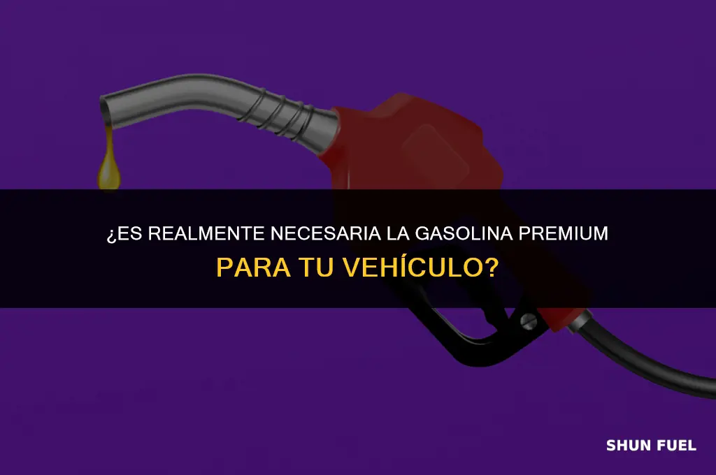 es recomendable usar gasolina premium