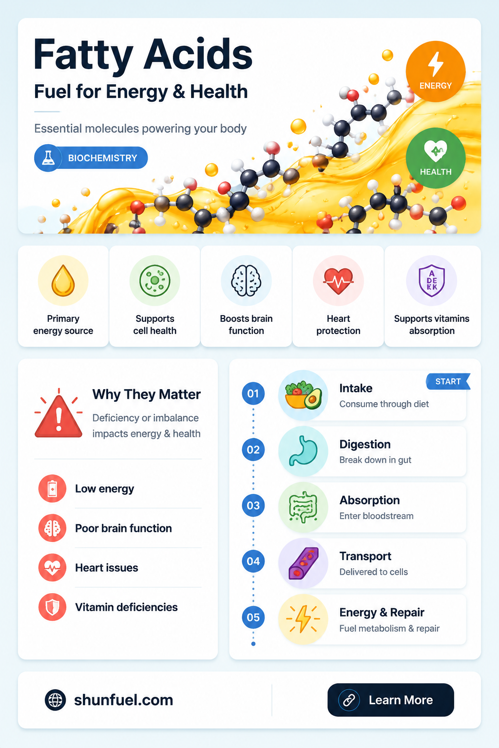 are fatty acids biomolecular fuel