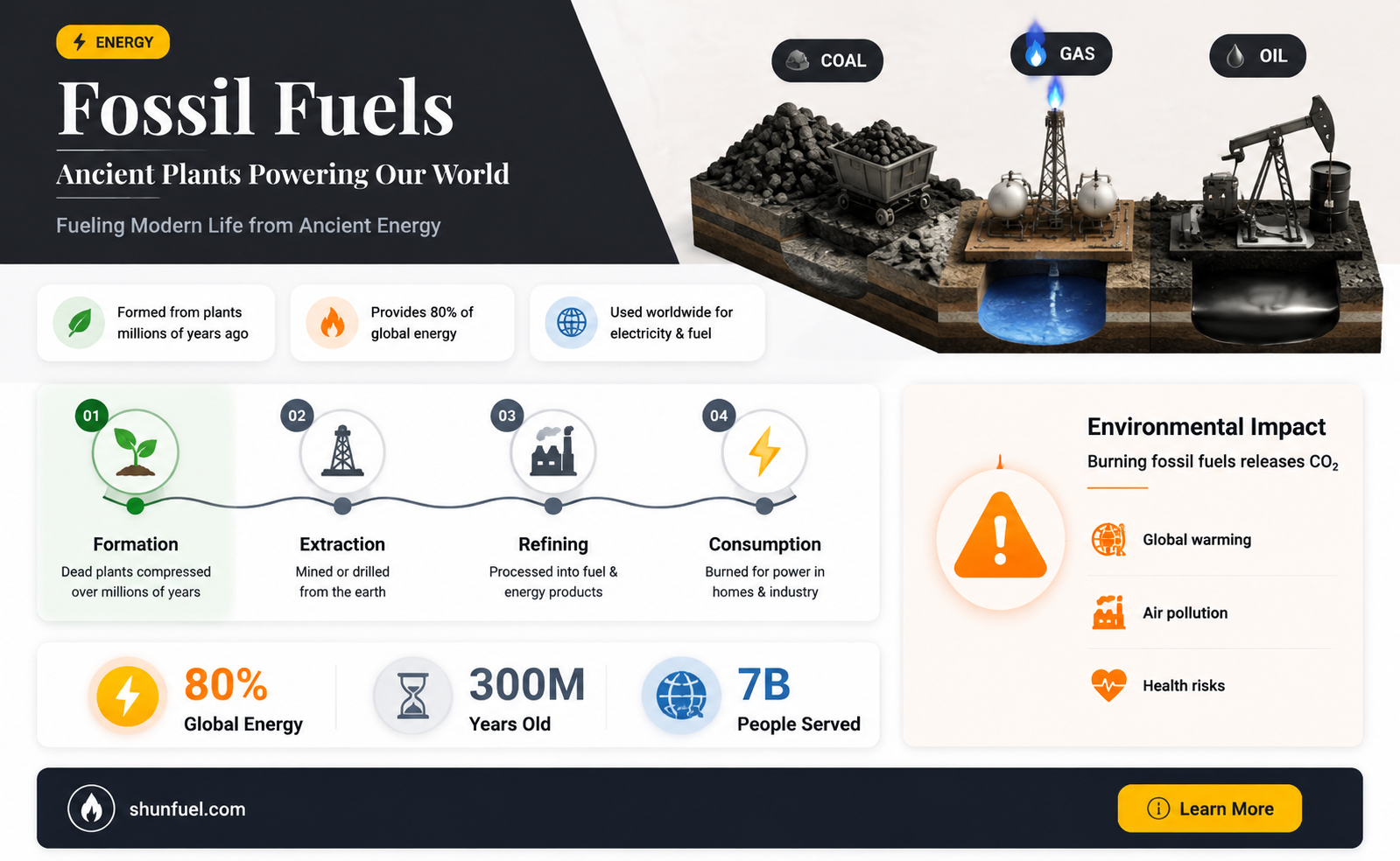 are fossil fuels here because of plant
