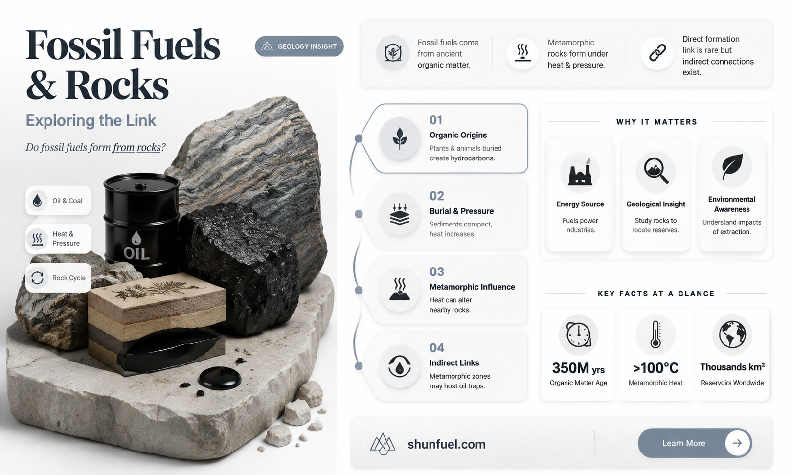 are fossil fuels found in metamorphic rocks