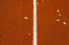 fuel line