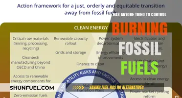 Controlling Fossil Fuel Burning: Is It Possible?