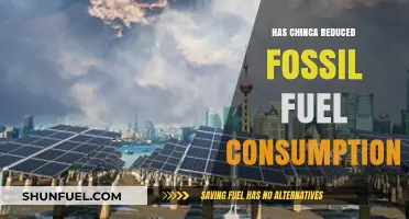 China's Fossil Fuel Consumption: A Sustainable Future?