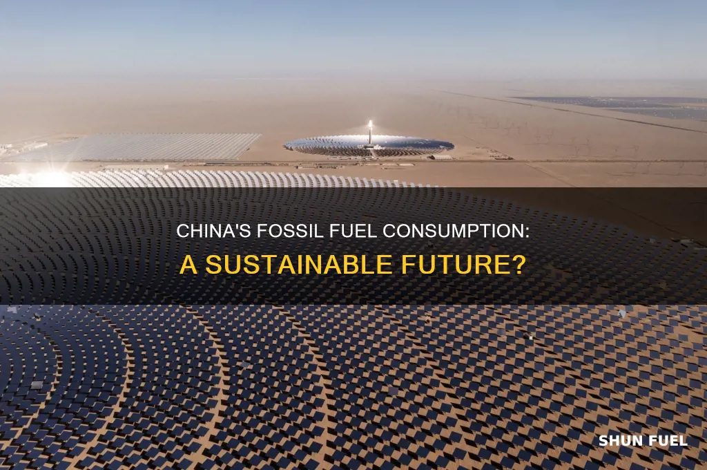 has chinca reduced fossil fuel consumption