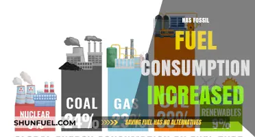The Rise of Fossil Fuel Consumption: A Troubling Trend