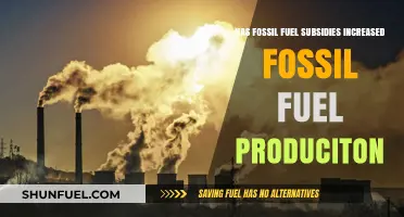 Fossil Fuel Subsidies: Increasing Production, Ignoring Climate Change