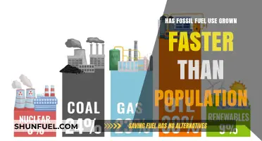 Fossil Fuel Usage: Population Growth Comparison