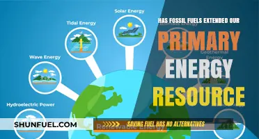Fossil Fuels: Primary Energy Source, Sustainable Future?