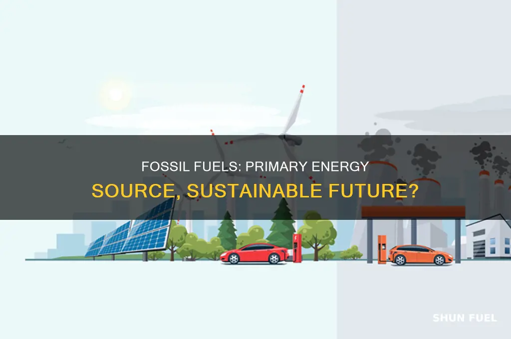 has fossil fuels extended our primary energy resource