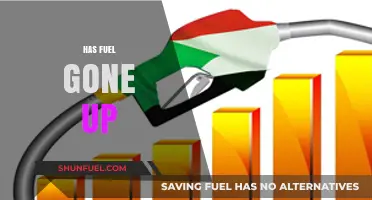 Has Fuel Gone Up? Analyzing Recent Price Hikes and Their Impact