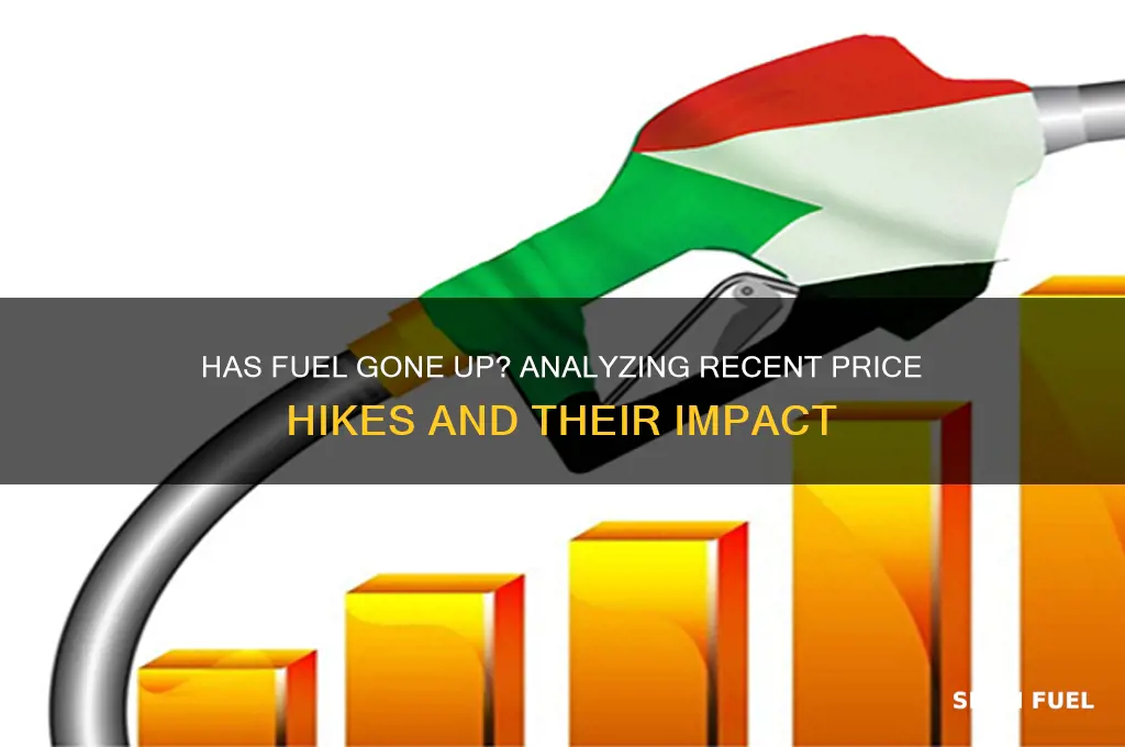 has fuel gone up