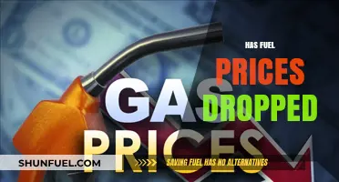 Fuel Prices Drop: Analyzing Recent Declines and Their Impact on Consumers