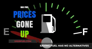 Rising Fuel Costs: Analyzing the Surge in Gasoline Prices