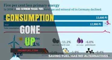German Fossil Fuel Consumption: A Rising Trend?
