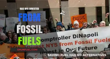 Fossil Fuels: New York State Divests