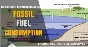 Hydropower Dam Removal: Fossil Fuel Consumption Impact