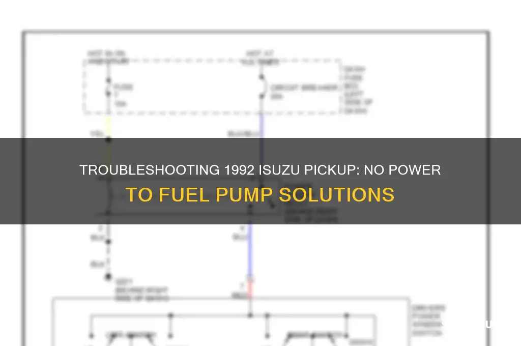 have a 1992 isuzu pickup no power to fuel pump