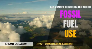 How Fossil Fuels Alter Our Atmospheric Gas Composition