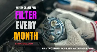 Fuel Filter: The Monthly Chore You Can't Ignore