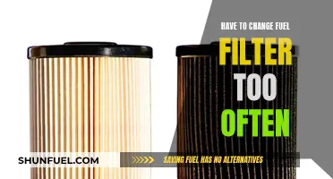 Fuel Filter Frustration: Why So Frequent?