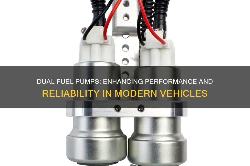 have two fuel pumps