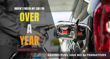 Electric Cars: A Year Without Gas