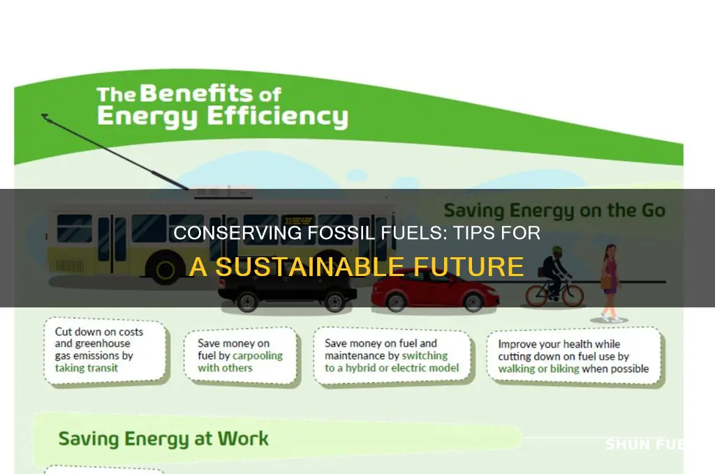 how 2 conserve fossil fuel