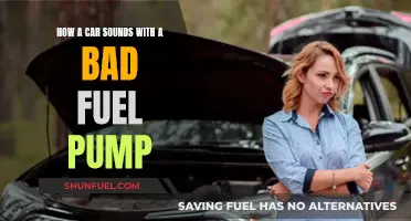 Fuel Pump Failure: Noisy Car Conundrum