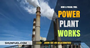 The Power Plant Process: Fossil Fuels Explained