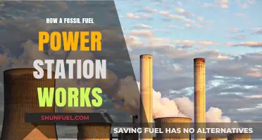 The Power Plant Process: Fossil Fuels Explained
