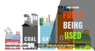 The Evolution of Fossil Fuels: Powering Our World