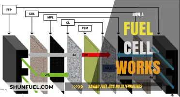 Understanding Fuel Cells: A Comprehensive Guide to Their Functionality