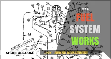 Understanding Your Vehicle's Fuel System: A Comprehensive Guide