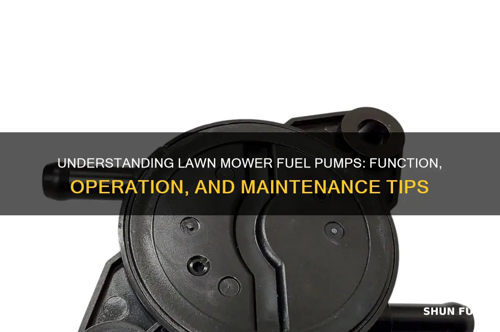 how a lawn mower fuel pump works