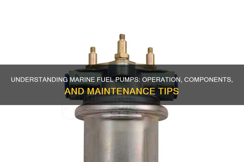 how a marine fuel pump works