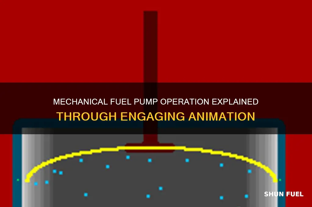 how a mechanical fuel pump works animation