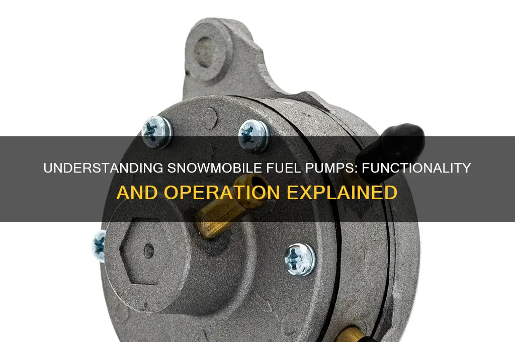 how a snowmobile fuel pump works