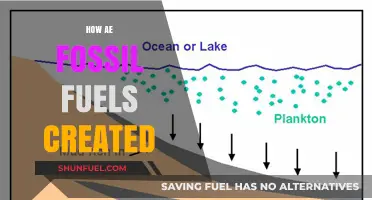 The Evolution of Fossil Fuels: A Historical Perspective