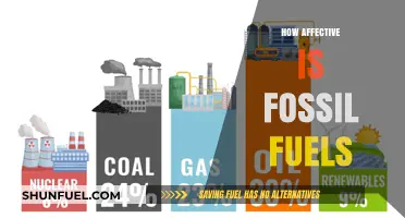 Fossil Fuels: Energy's Damaging Power