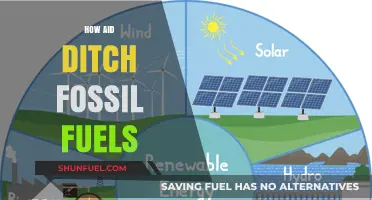 Ditching Fossil Fuels: A Green Energy Revolution