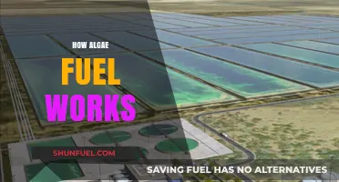 Unlocking Algae Fuel: Sustainable Energy Production and Environmental Benefits