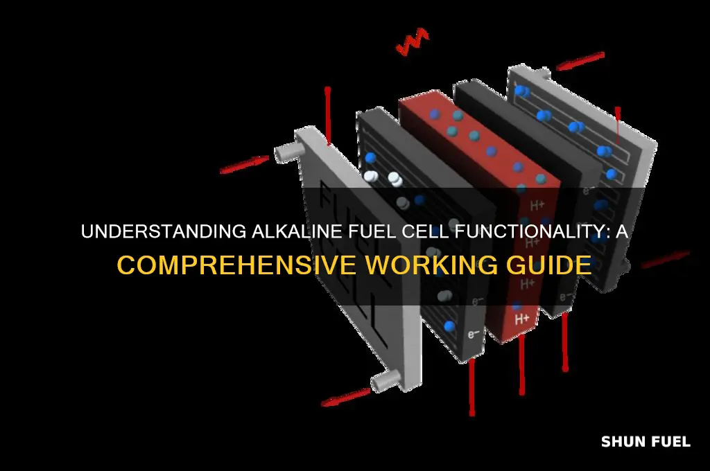 how alkaline fuel cell works
