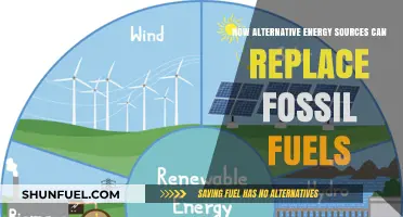 Alternative Energy: Powering a Fossil Fuel-Free Future