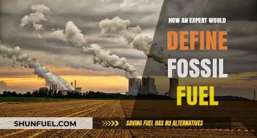 Fossil Fuel Fundamentals: An Expert's Concise Definition