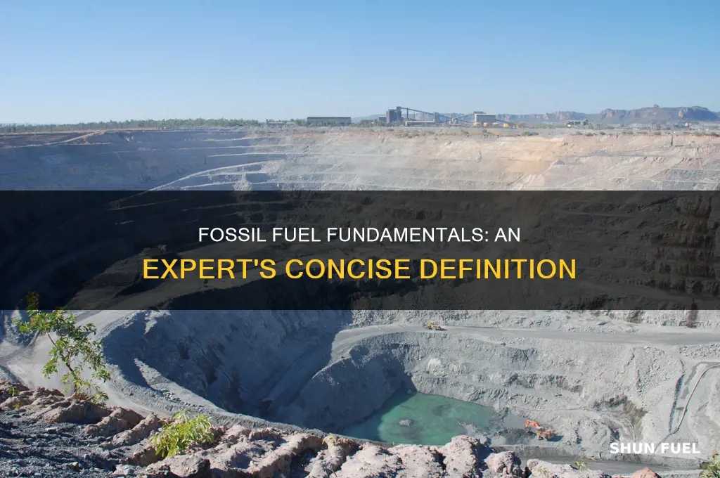 how an expert would define fossil fuel